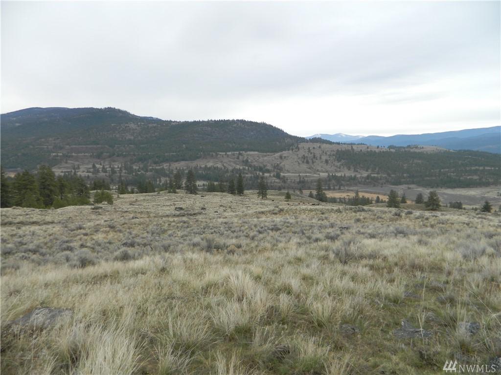 111 Tbd Hwy 20 - Photo 1