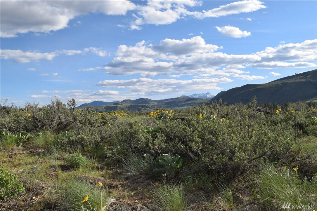 0-Lot 41 Palomino Rd - Photo 1