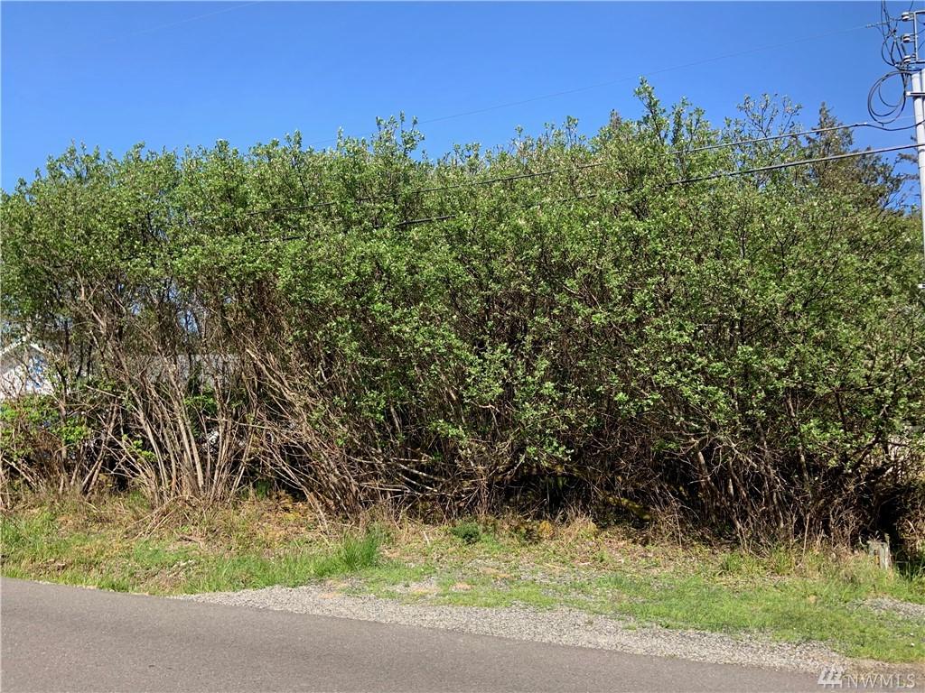 412 Octopus Ave - Photo 1
