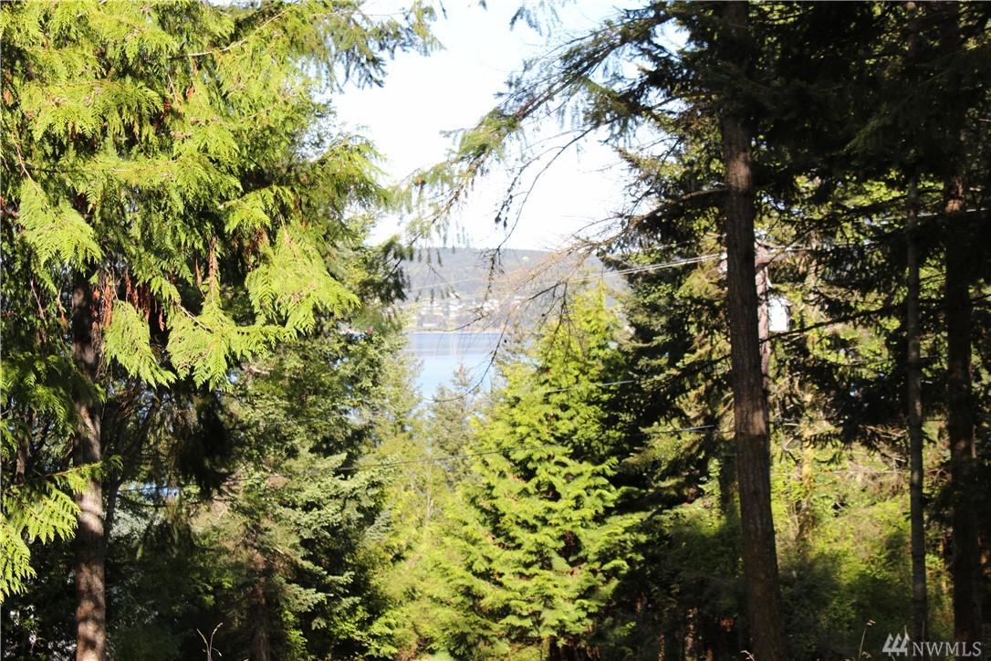 999 Diamond Pt. Rd - Photo 1