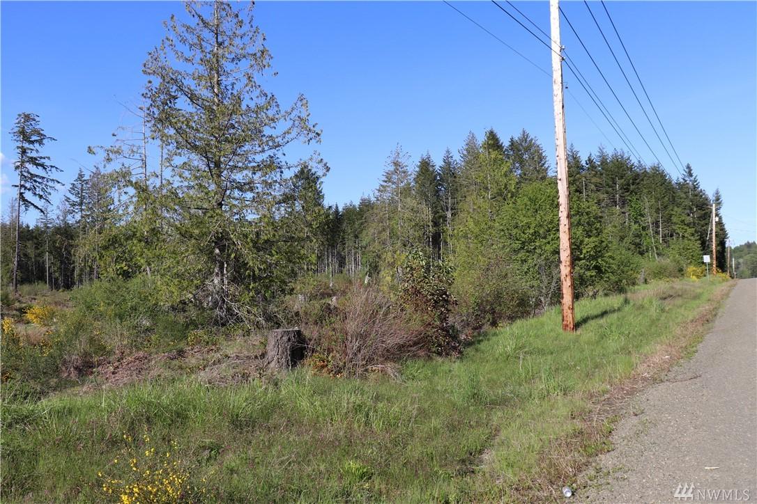 3-Lot 3 Lynch Rd - Photo 1