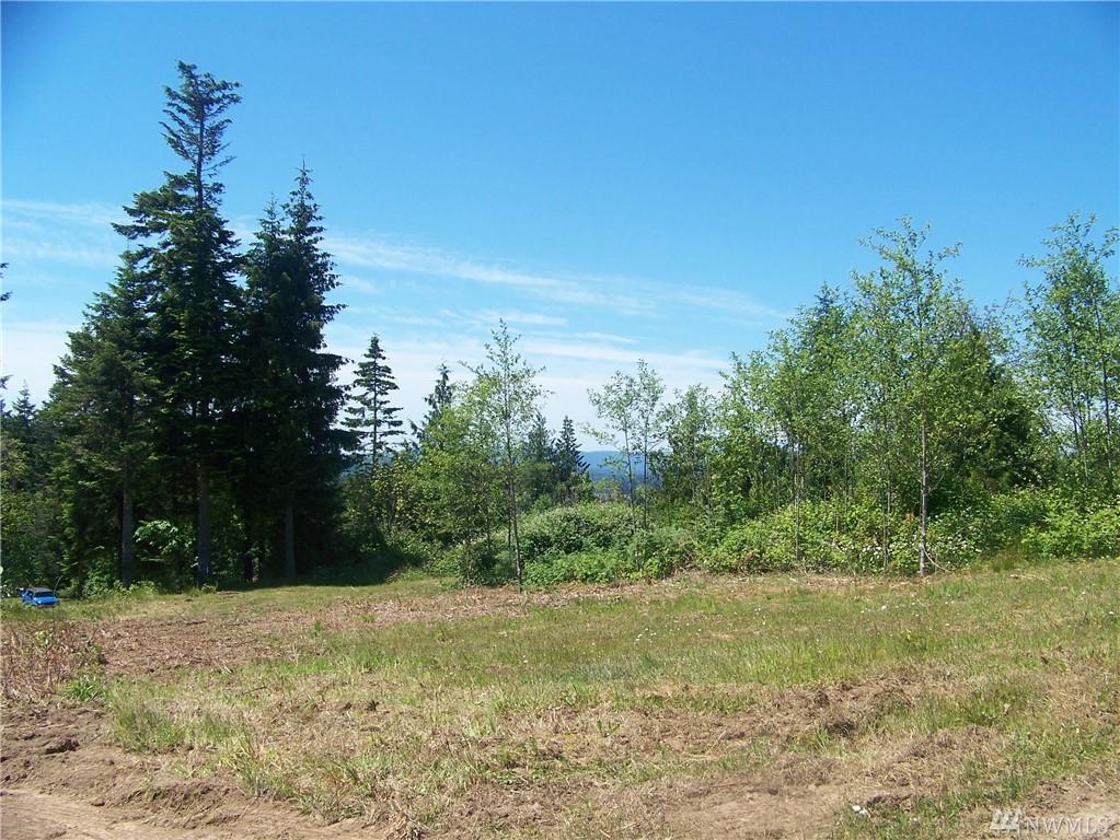 2204 Padrick Rd - Photo 1