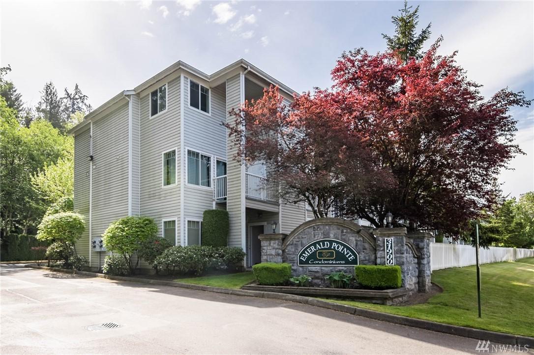 31900 104th Ave - Photo 1