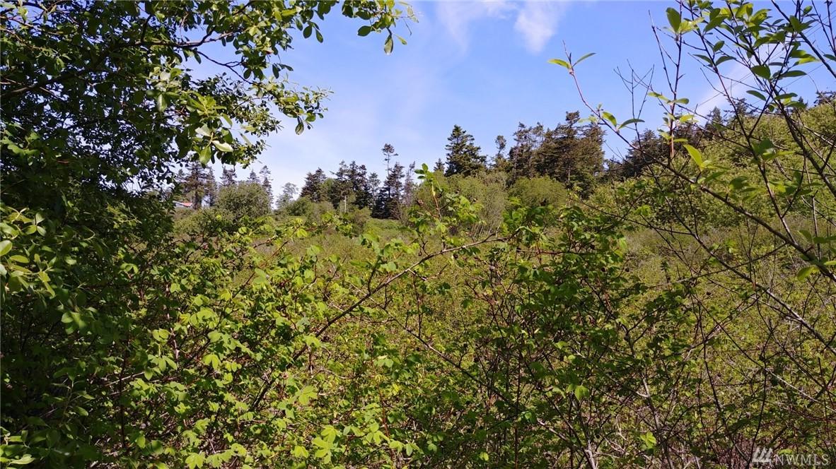 0 La Plazo - Photo 1