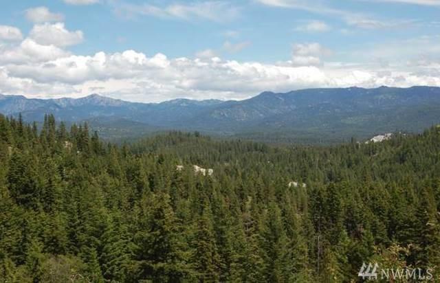 0-XXX West Fork Teanaway Rd - Photo 1
