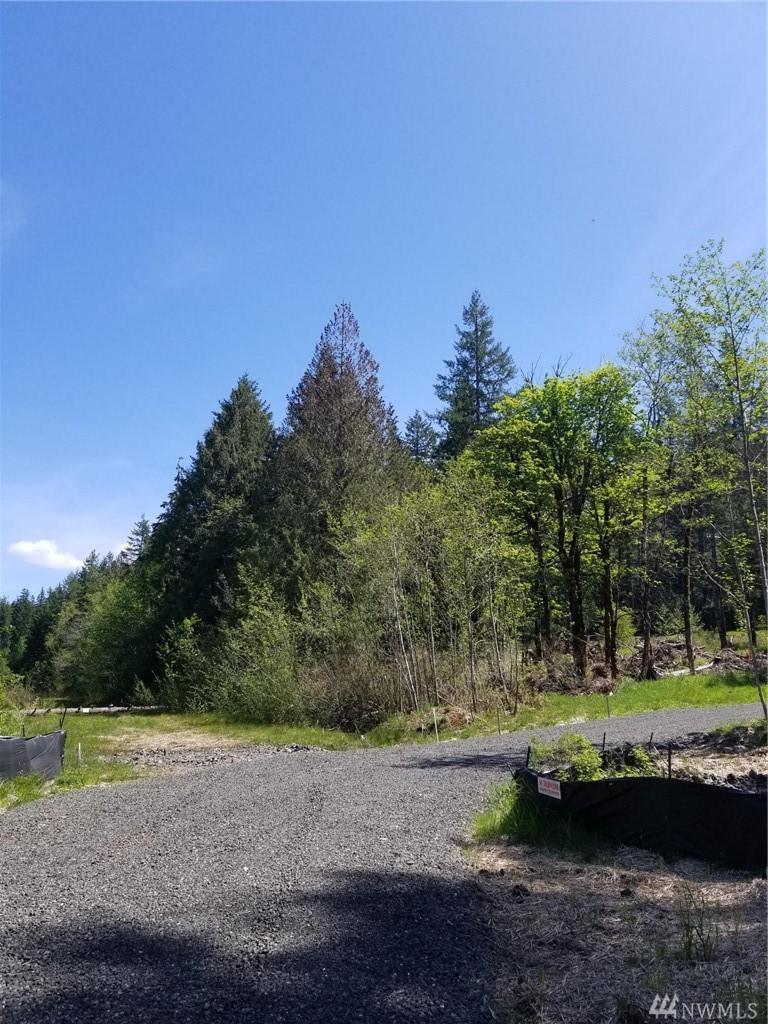 0-Lot 1 Boundary Trail - Photo 1