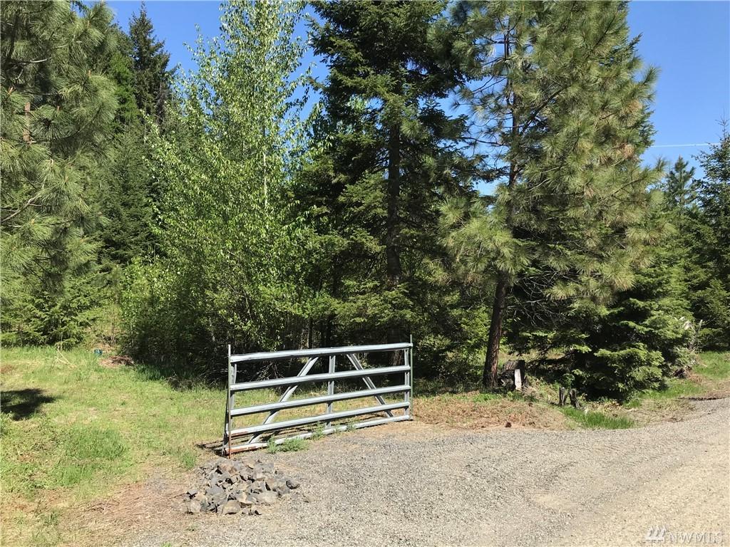 651 Woods And Steele Rd - Photo 1