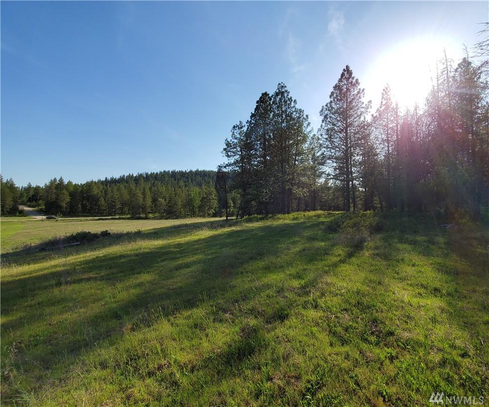 4528 Stone Brook Way - Photo 1