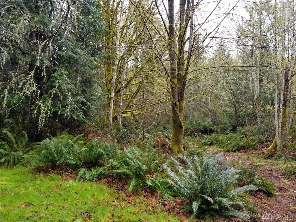 51 Mandy Lane - Photo 1