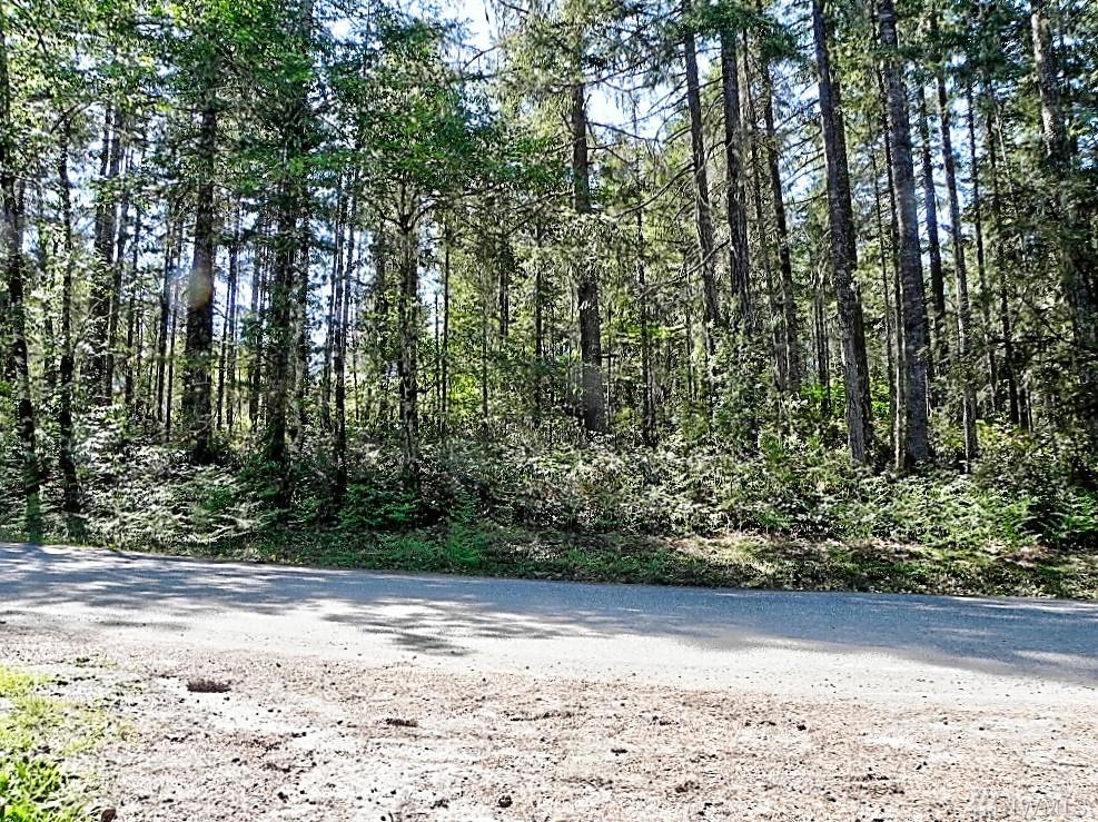 50 Arellem Rd - Photo 1