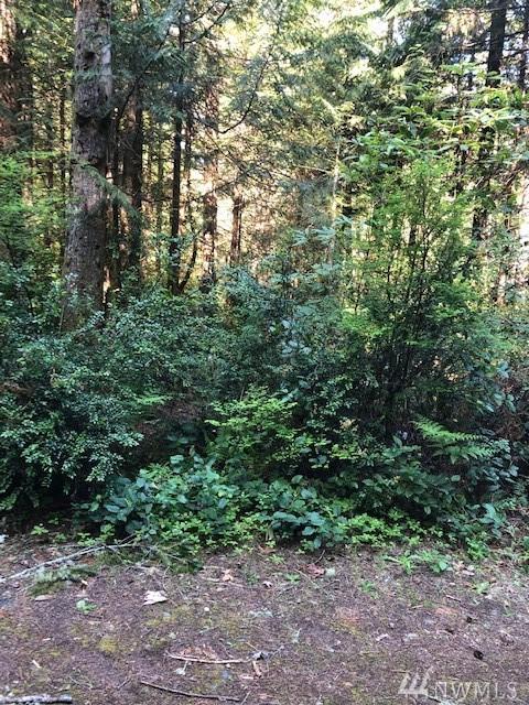 6405 Stone Farm Lane - Photo 1