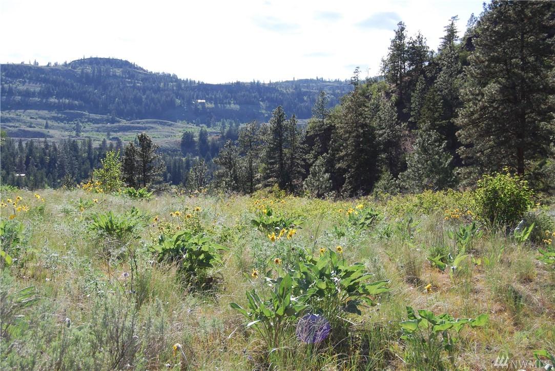 0-Lot 4 Wannacut Lake Road - Photo 1