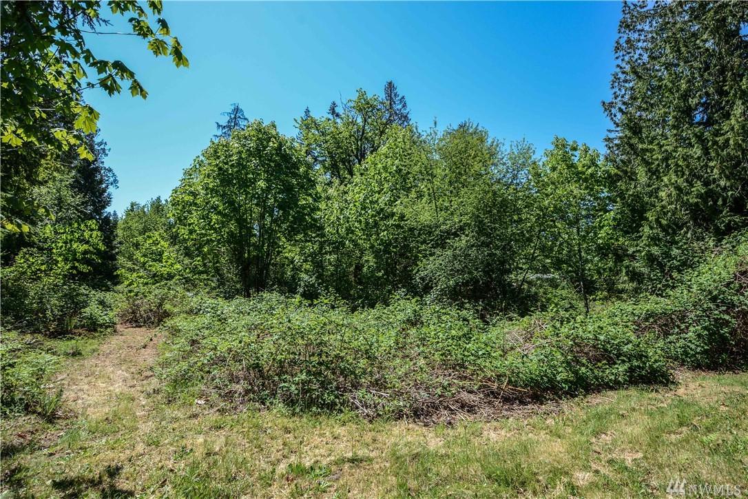 18663 196th Ave - Photo 1