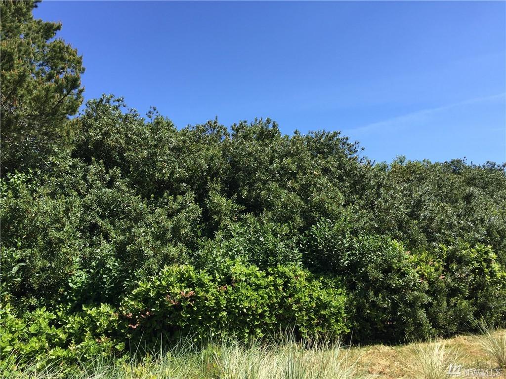 324 Sand Dune Ave - Photo 1