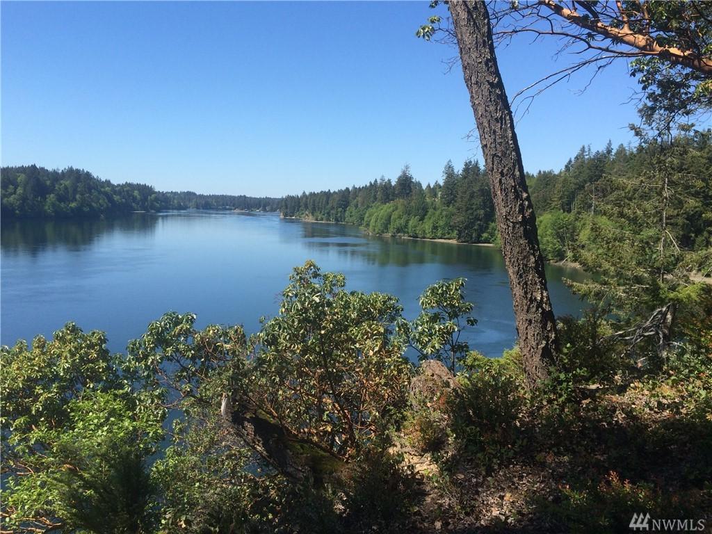 0 Big Skookum Road East - Photo 1