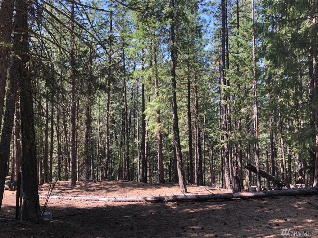 19 Quaking Aspen Rd - Photo 1