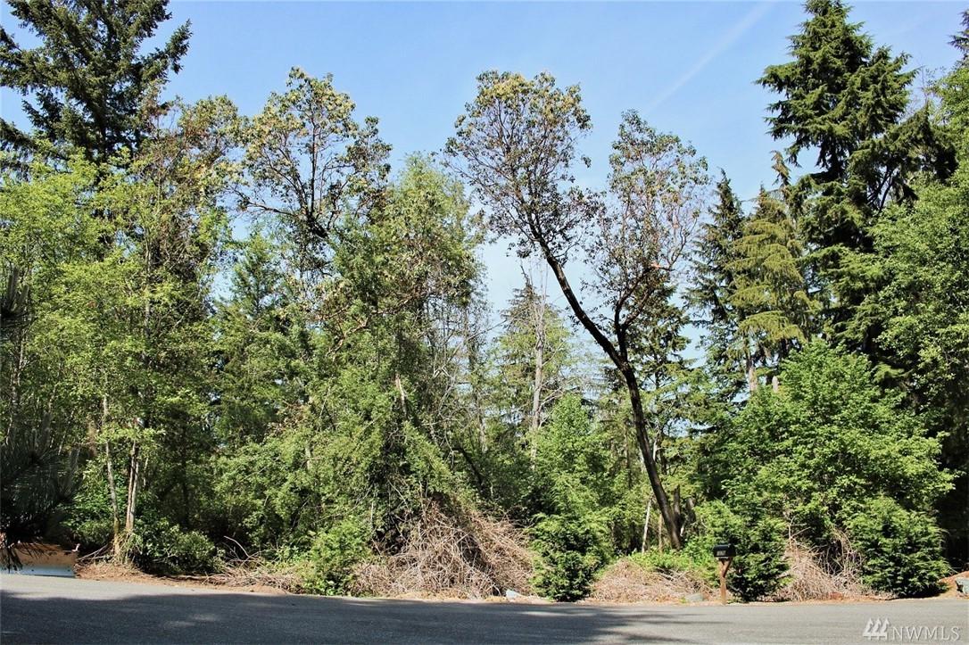 1245 Nooksack Dr - Photo 1