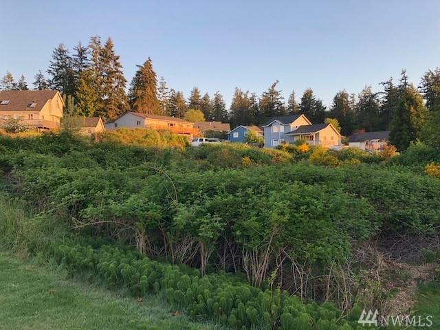 0-Lot 5 Winston Dr - Photo 1