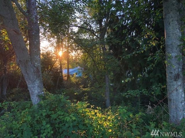 0-Lot 11 Haines Rd - Photo 1