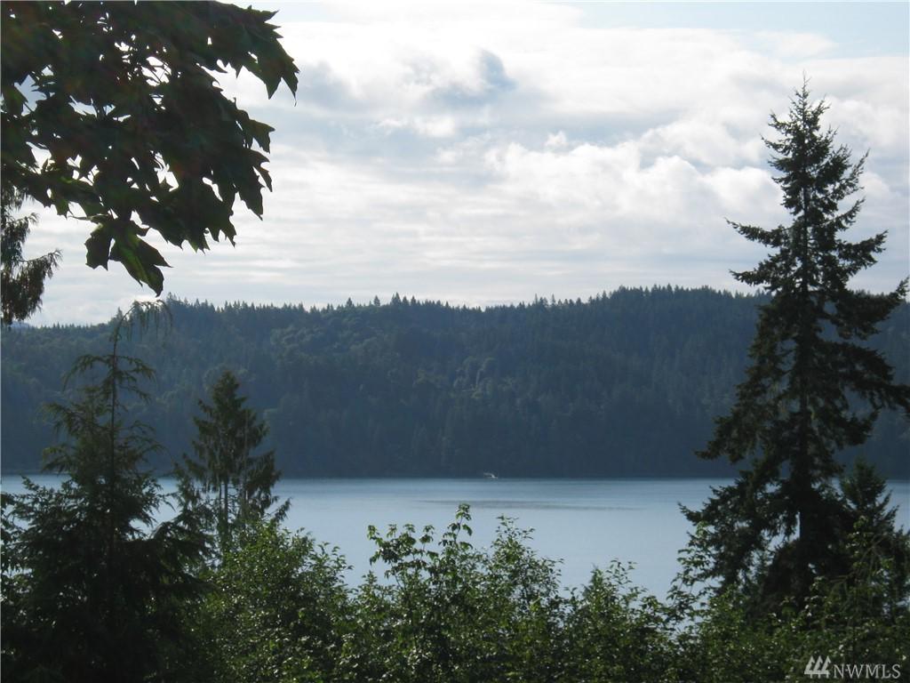 0-Lot 1 722 Seagull Wy - Photo 1