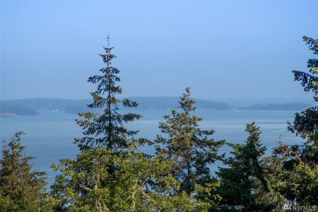 23 Tsuga Lane - Photo 1