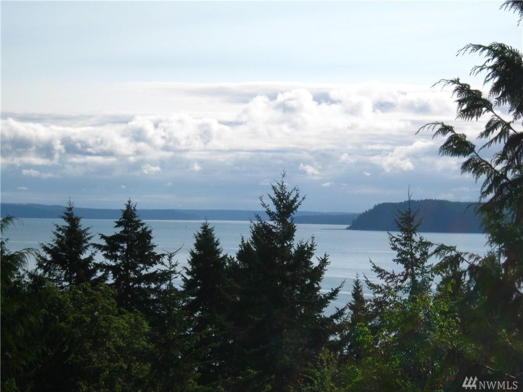 0-Lot 2 Seagull Wy - Photo 1