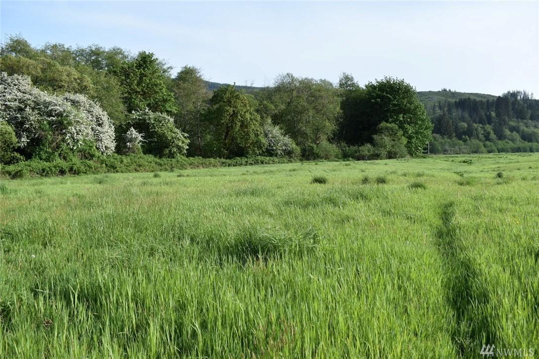 690-Lot 2 Elochoman Valley Rd - Photo 1