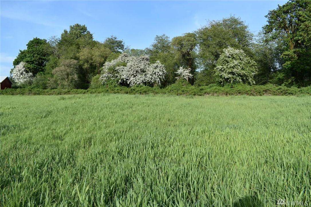690-Lot 1 Elochoman Valley Rd - Photo 1