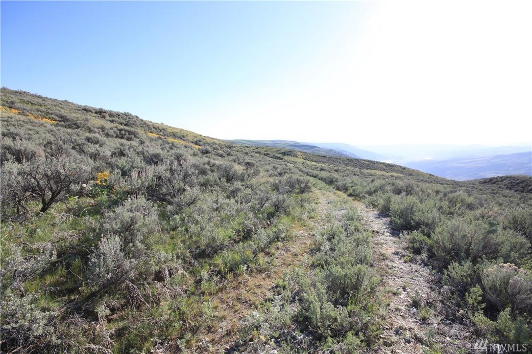 0-Lot 55 Chelan Hills Acreage Tract - Photo 1