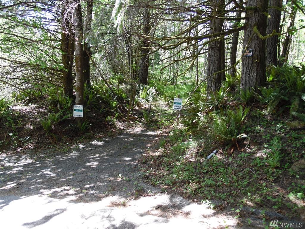 0 Lewis River Road - Photo 1