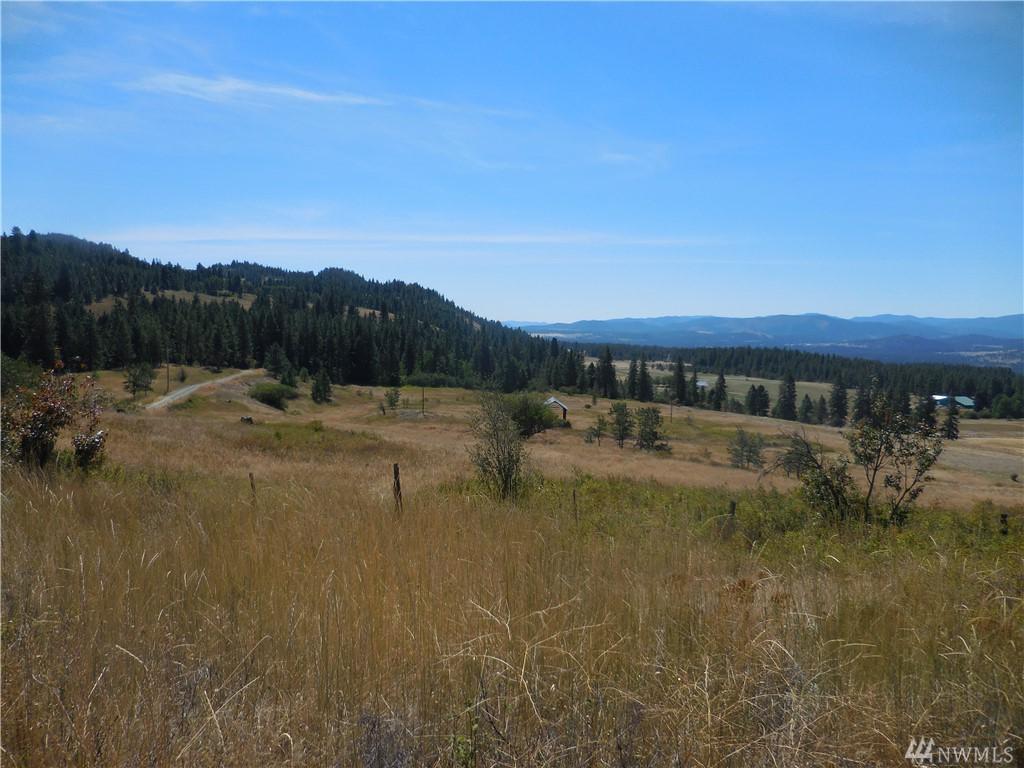 3341 Daisy Mine Rd - Photo 1