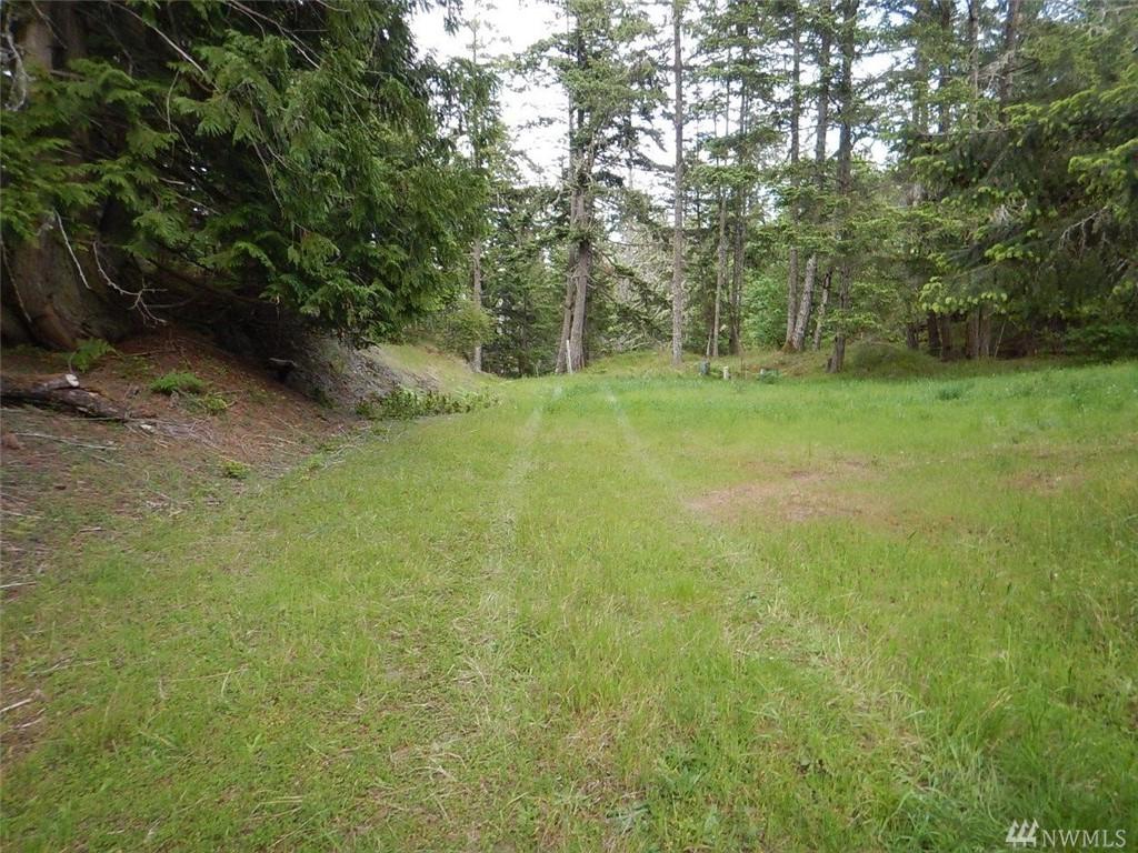 1363-& 1373 Mount Dallas Rd - Photo 1