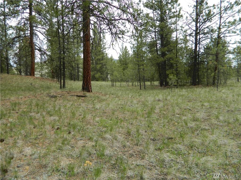 111 Tbd Squirrel Rd - Photo 1