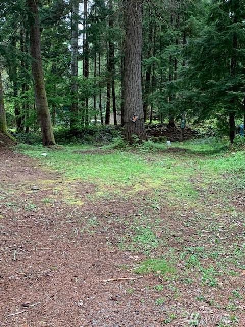 202 Paradise Drive - Photo 1
