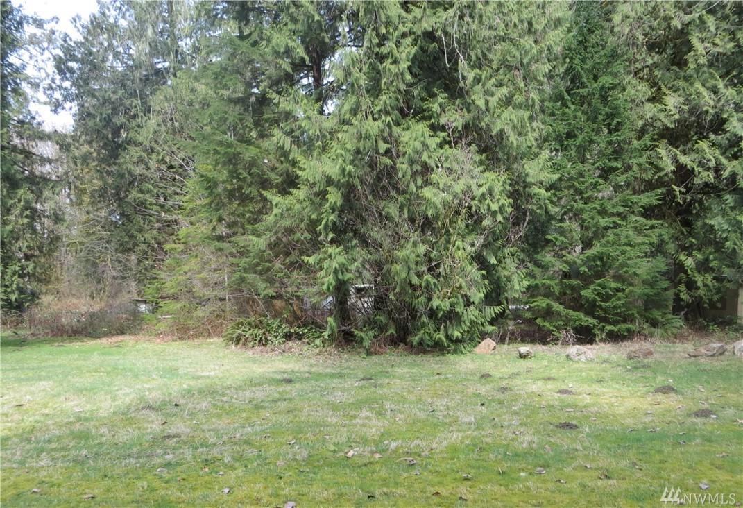 54165 Steelhead Landing - Photo 1