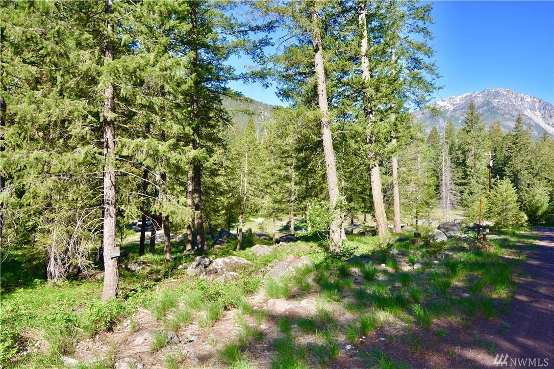 0-Lot 2&3 Skyline Dr - Photo 1