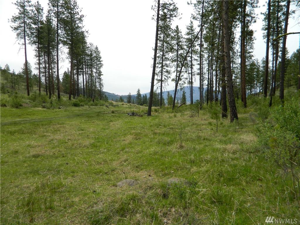 225-B Eagle Rock Rd - Photo 1