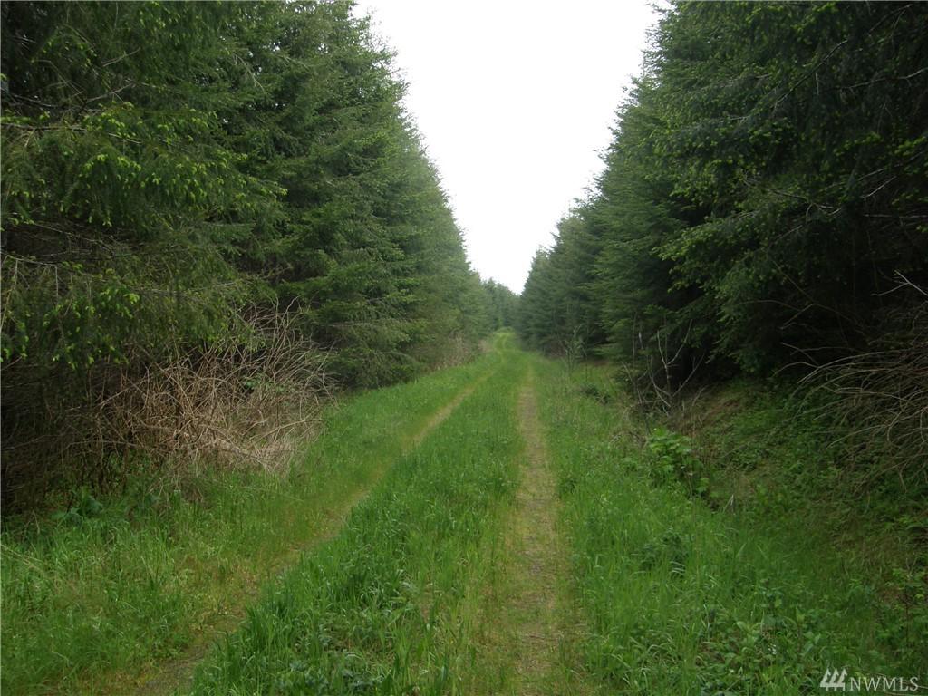 0-M.P. 12 Wynooche Valley Rd - Photo 1