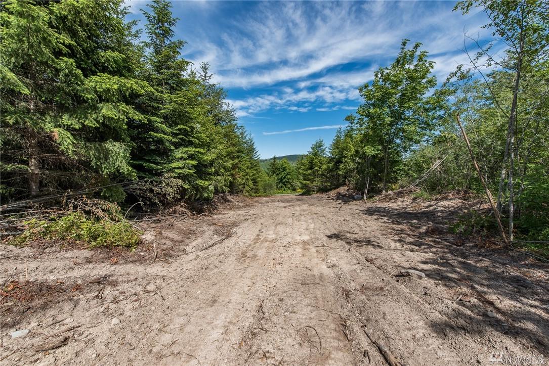 0-Lot 17 Morning Hill Lane - Photo 1 0-Lot 17 Morning Hill Lane - Photo 1