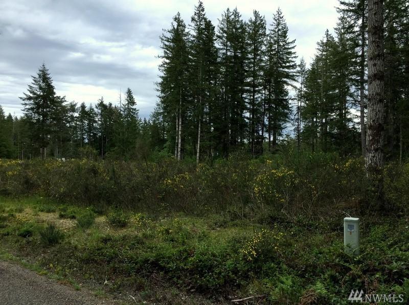 170 Blackberry Lane - Photo 1