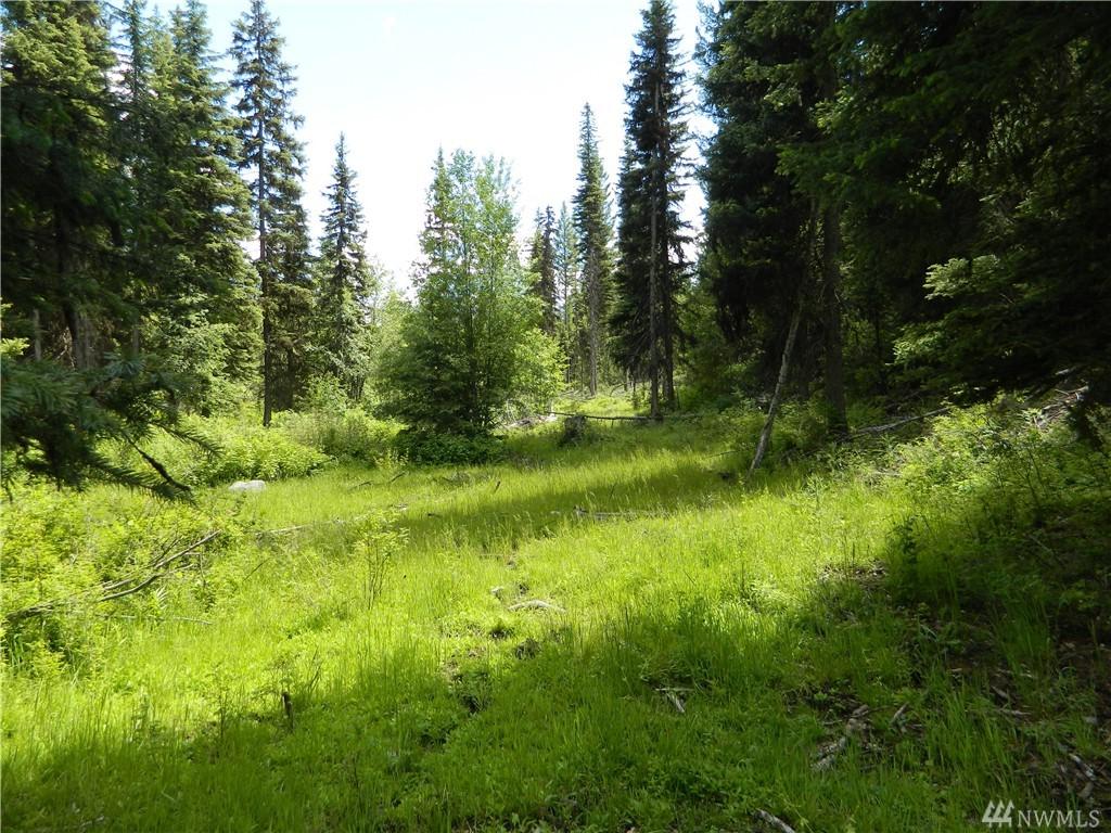 1111-tbd Turner Lake Rd - Photo 1