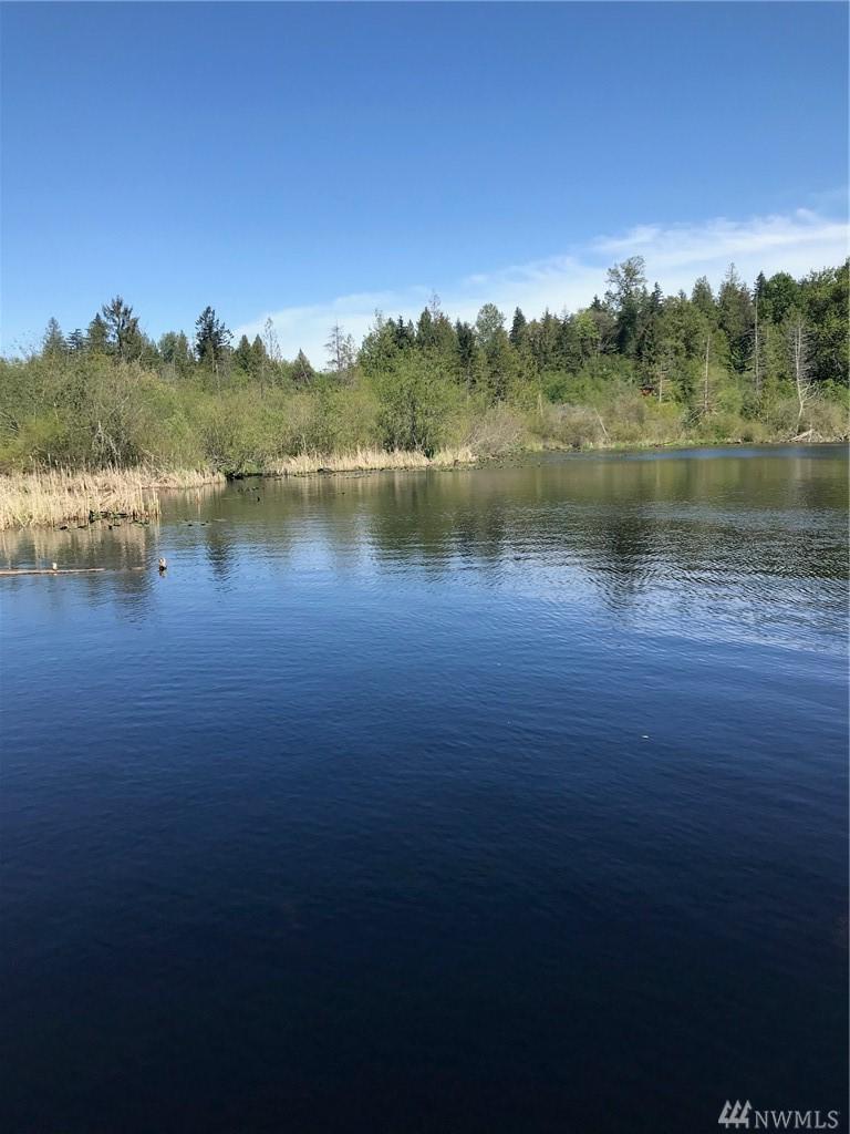 173 Lake Desire Dr - Photo 1