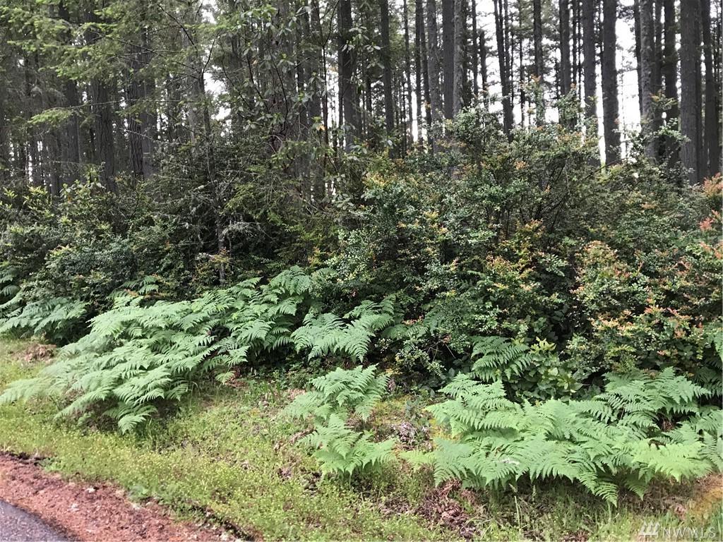 9107 Eckenstam Johnson Rd - Photo 1