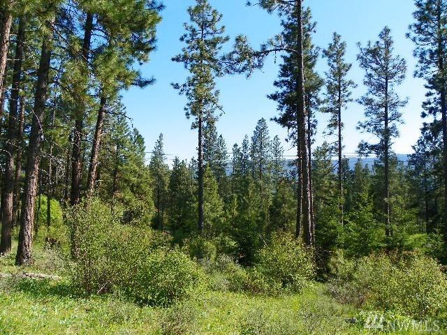 0-Lot 7 Owl Ridge Dr - Photo 1