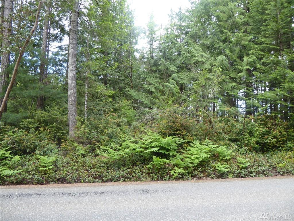 0-lot 13 Sunnyslope Rd - Photo 1