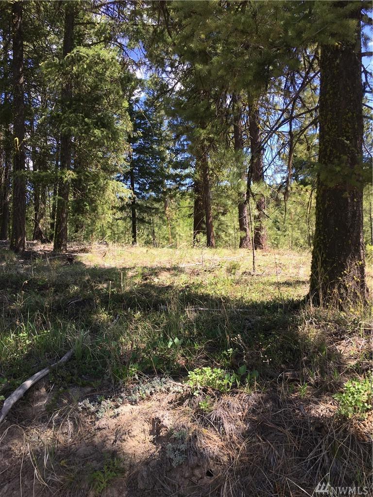 0 Tbd Salmon Falls Rd - Photo 1