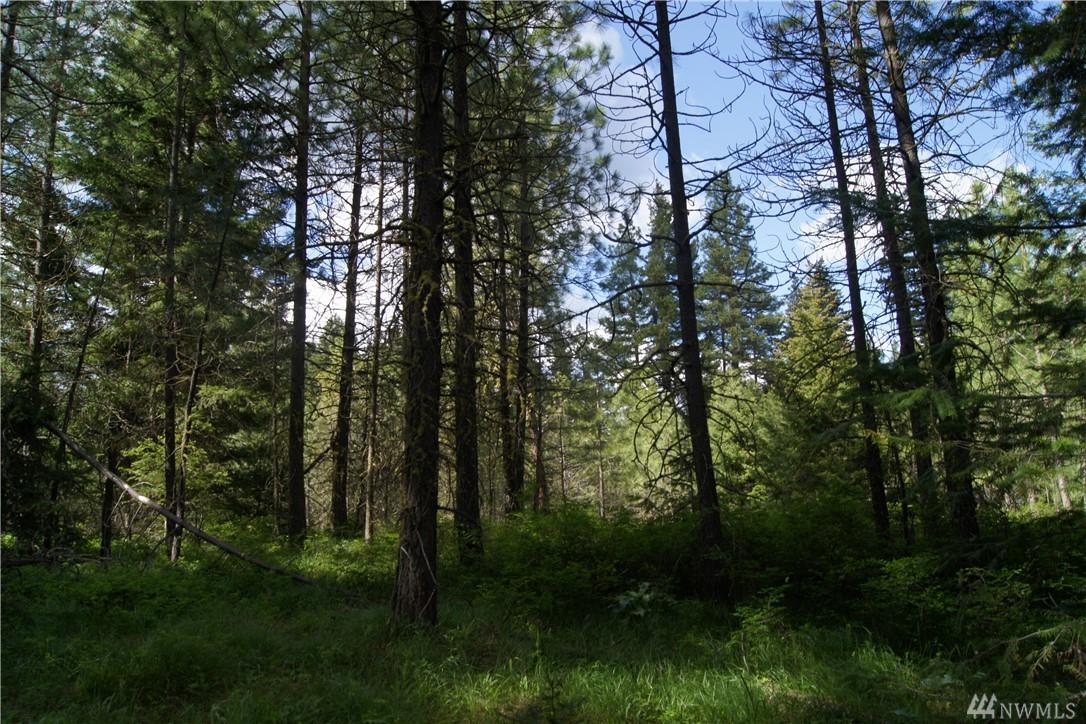 490 Snowberry Lp - Photo 1