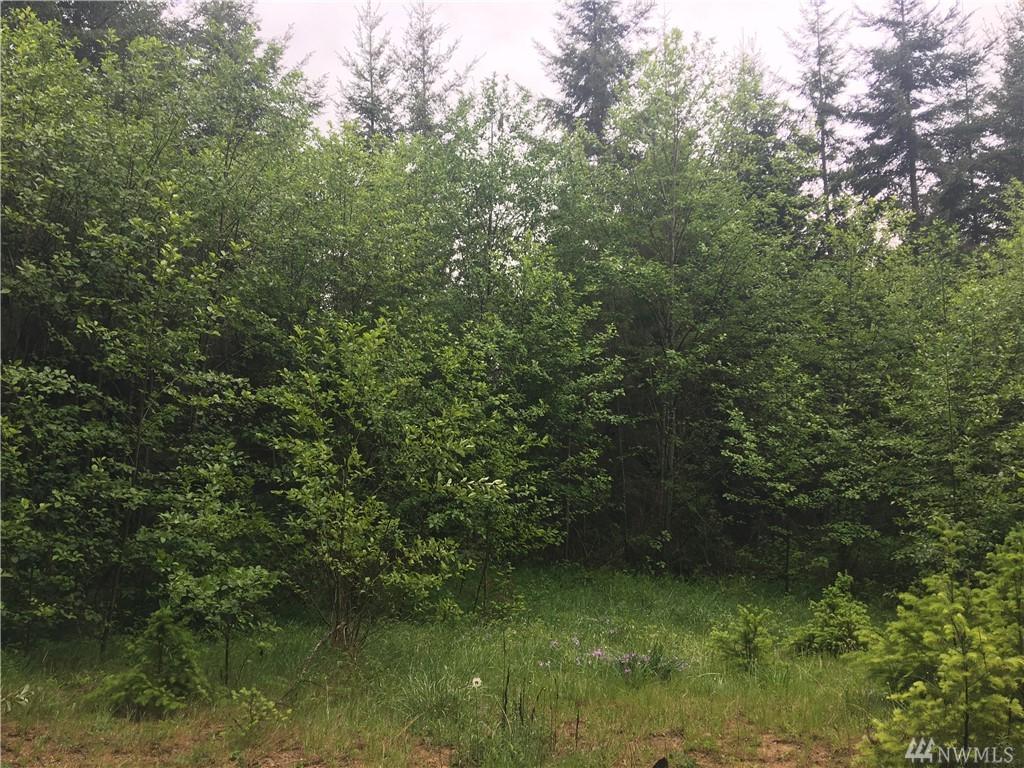 0 0 Bearclaw Lane - Photo 1