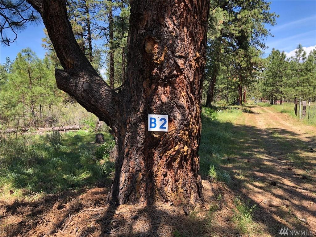 3581 Hwy 970 (Lot B2) - Photo 1