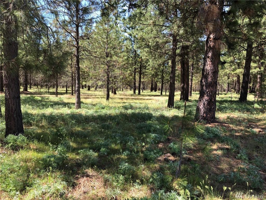 3581 Hwy 970 (Lot 1) - Photo 1